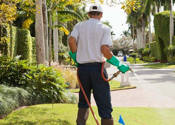 About Fairfield KY Pest Control
